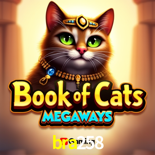 Bonus Features bra258